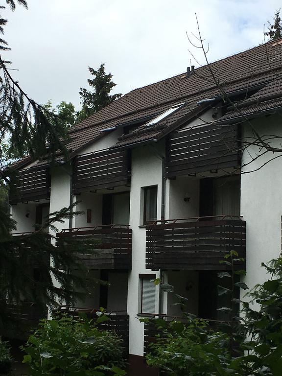 Ferienwohnung Wandervogel Braunlage Eksteriør bilde