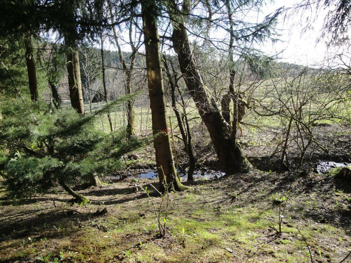 Ferienwohnung Wandervogel Braunlage Eksteriør bilde