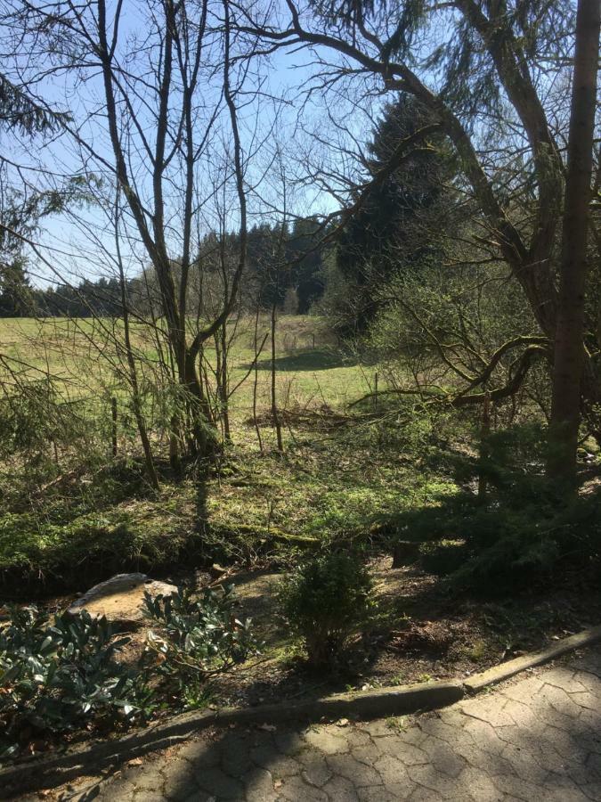 Ferienwohnung Wandervogel Braunlage Eksteriør bilde